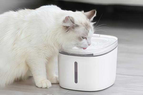 成形製品